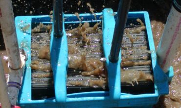 Más allá de la reutilización del agua